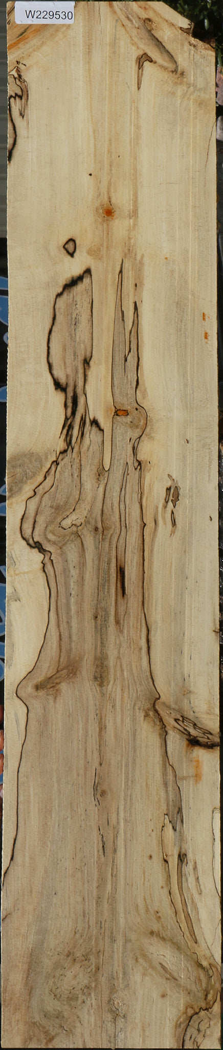 Spalted Holly Lumber