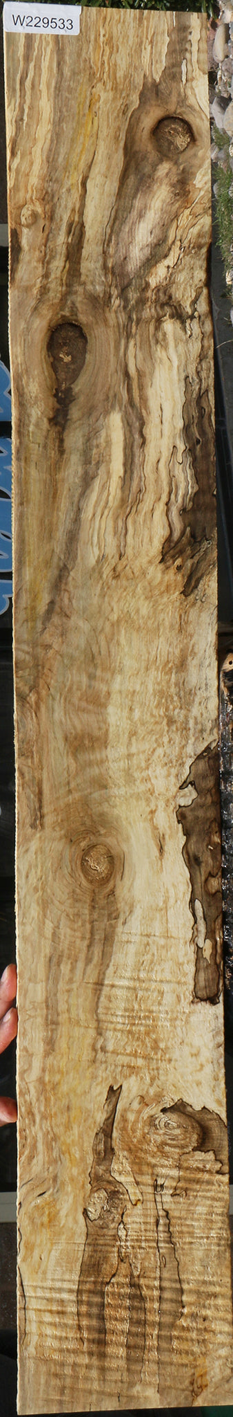 Exhibition Spalted Holly Lumber