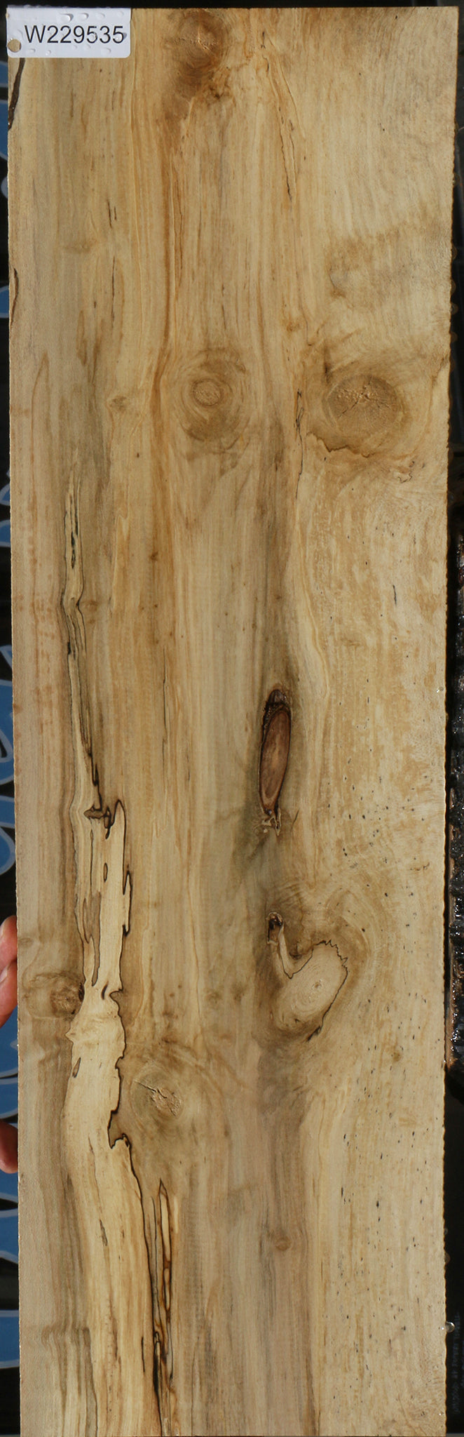 Spalted Holly Lumber