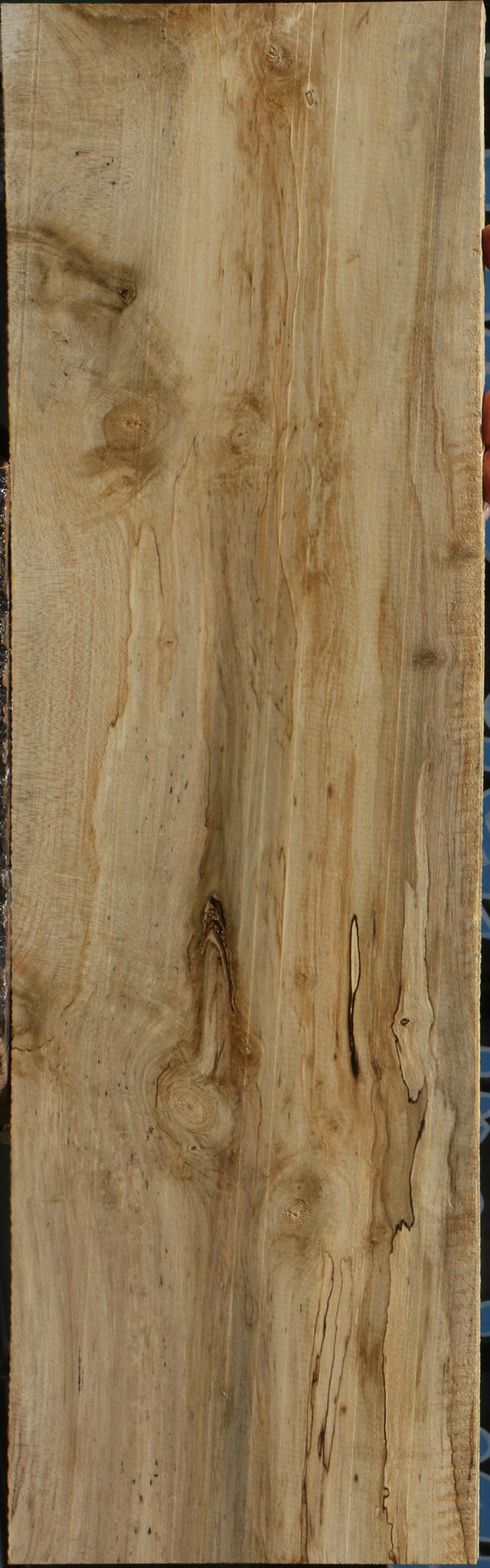 Spalted Holly Lumber
