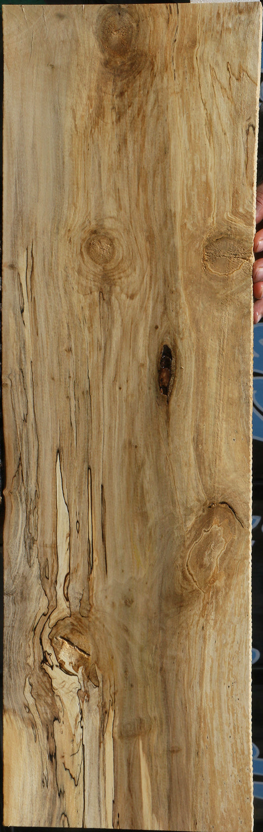 Spalted Holly Lumber
