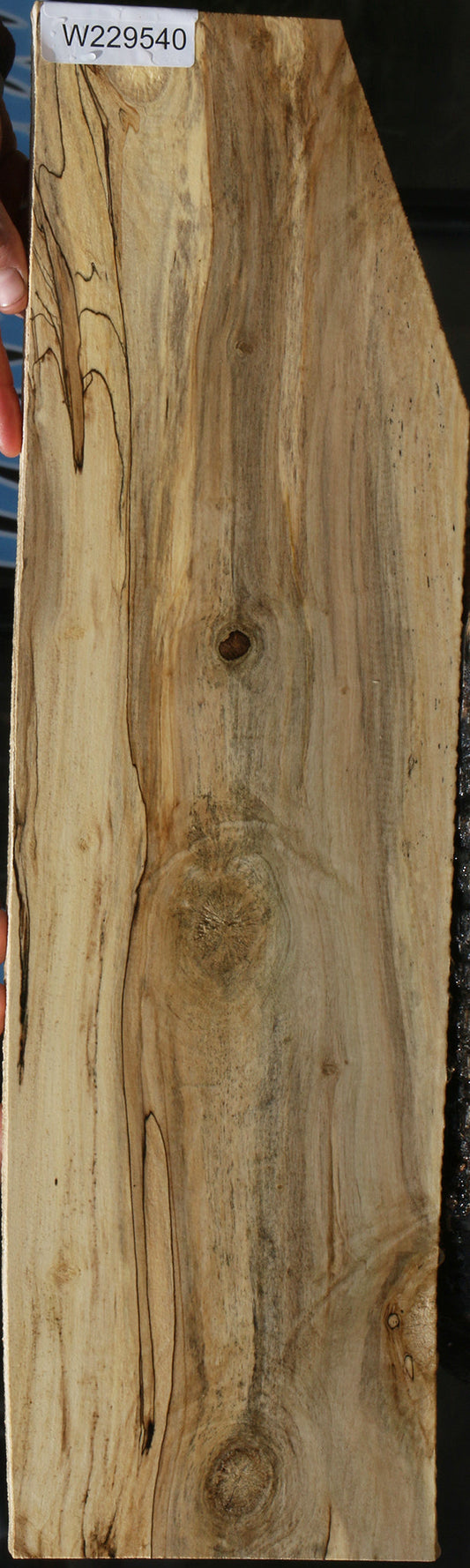 Spalted Holly Lumber