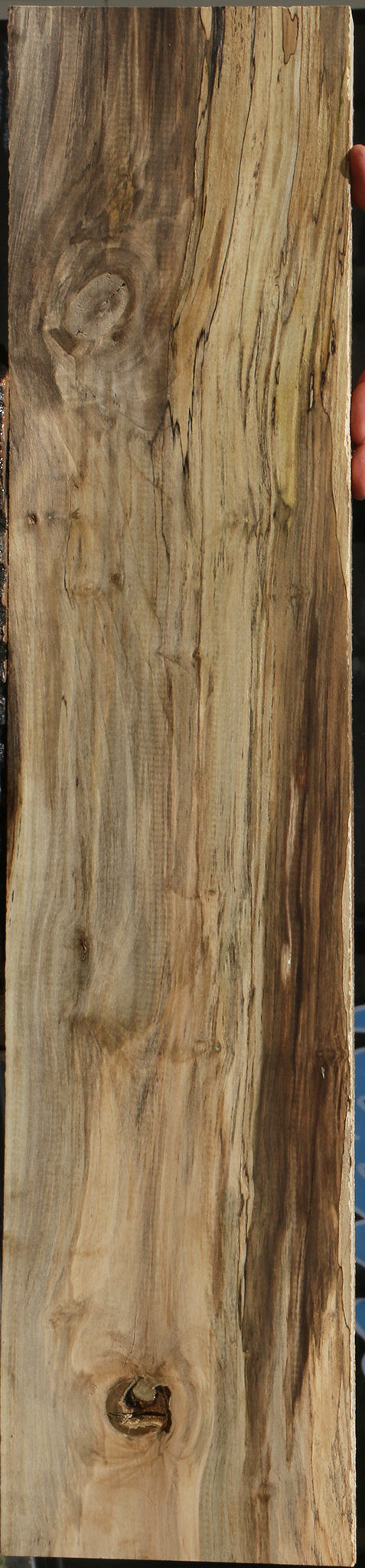 Spalted Holly Lumber