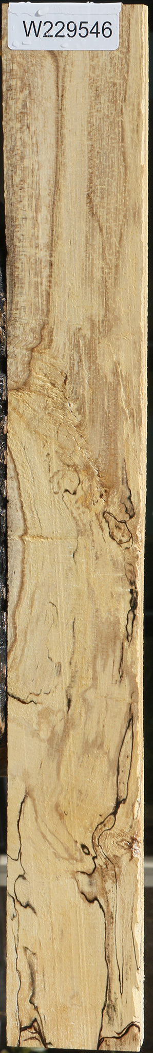 Spalted Holly Lumber