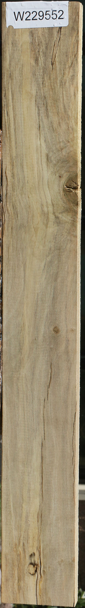 Spalted Holly Lumber