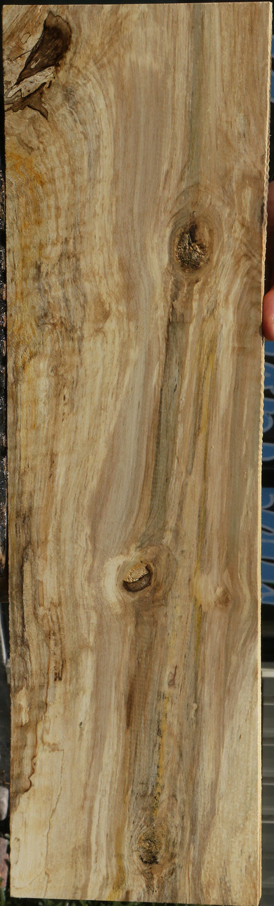 Spalted Holly Lumber