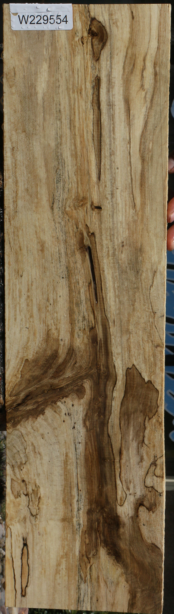Spalted Holly Lumber