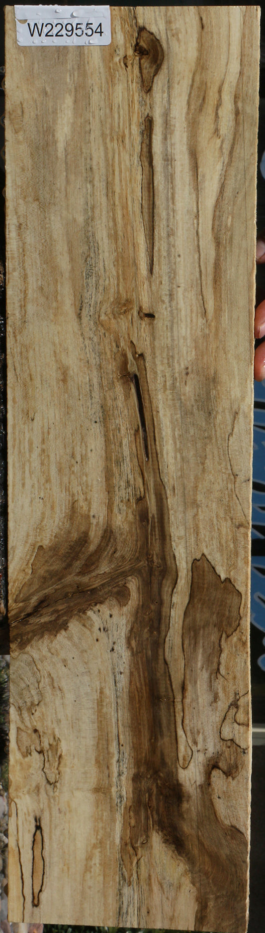 Spalted Holly Lumber
