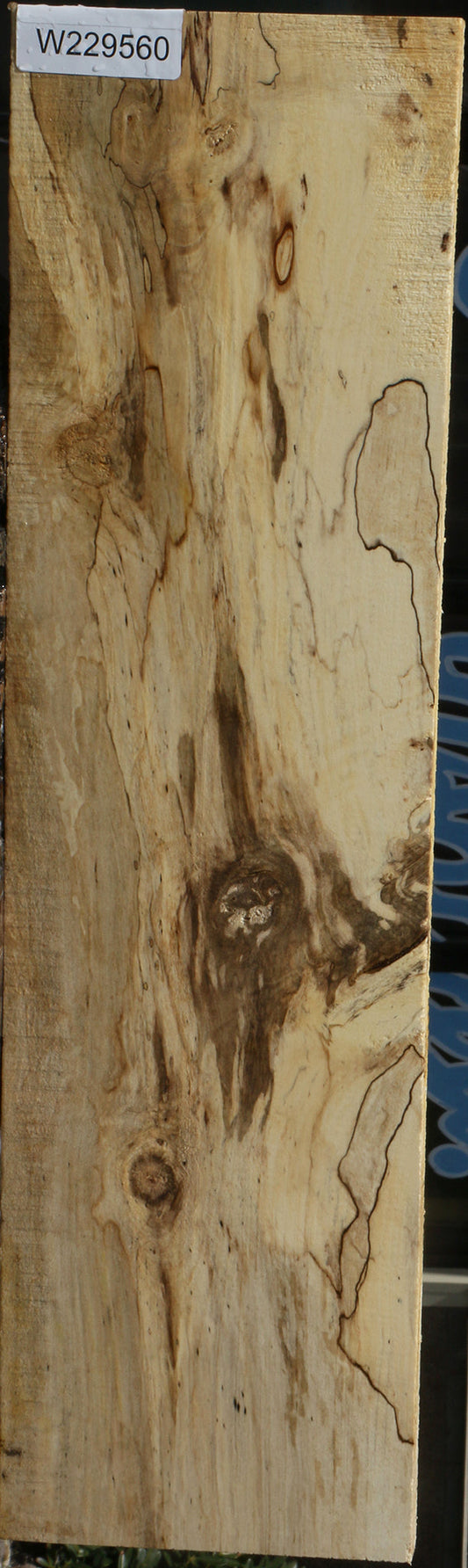 Spalted Holly Lumber
