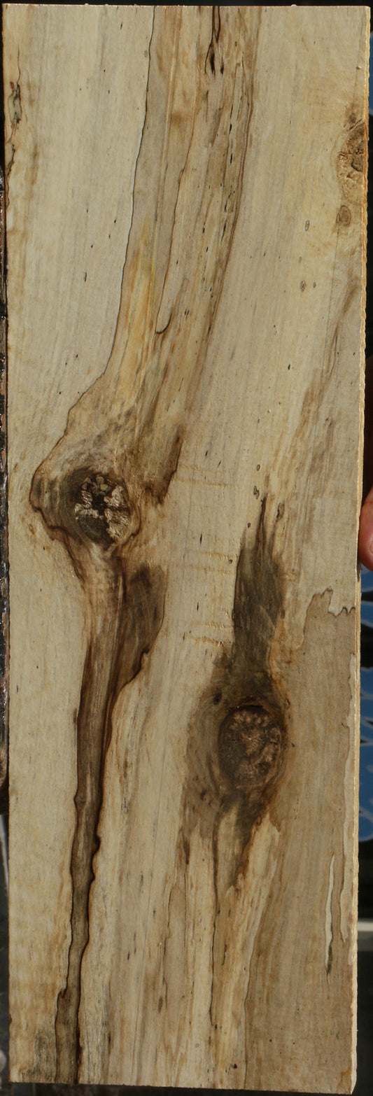 Spalted Holly Lumber