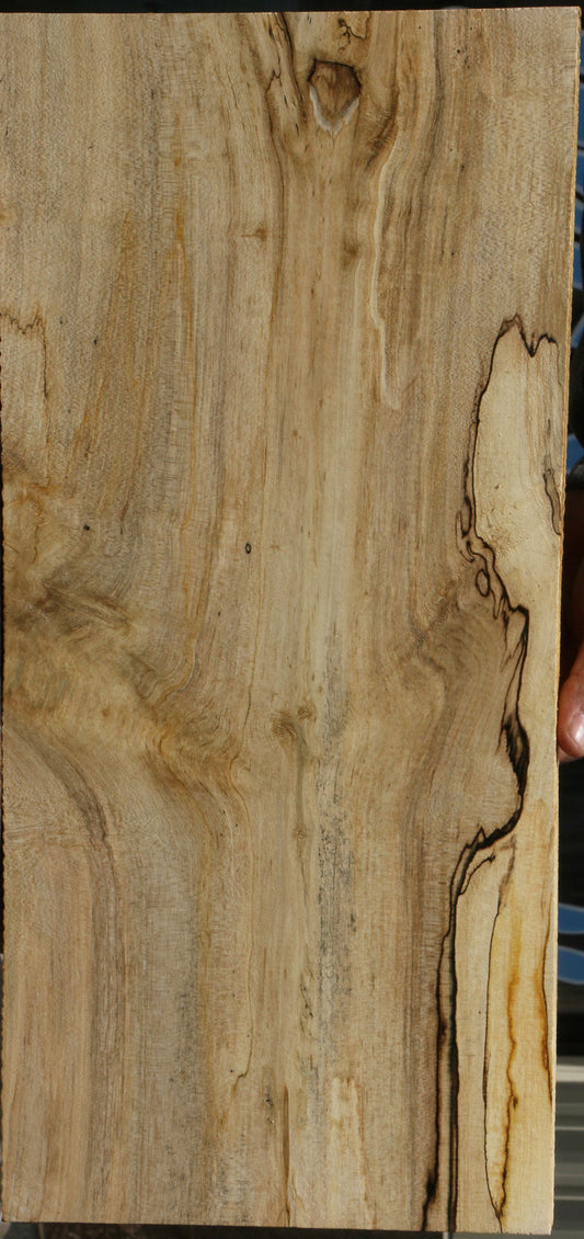 Spalted Holly Lumber