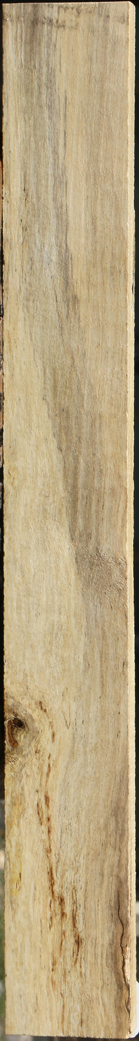 Spalted Holly Lumber