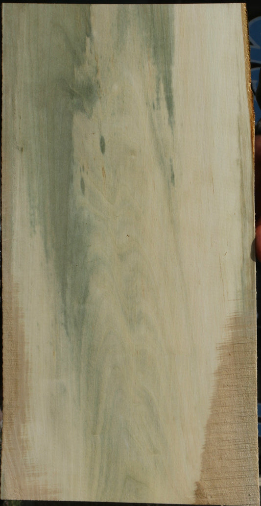 Spalted Holly Lumber