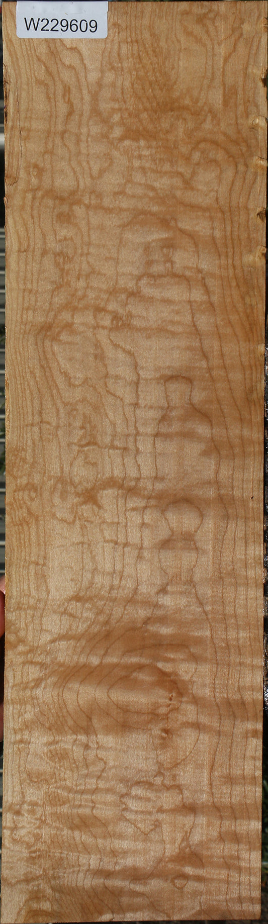 Quilted Maple Lumber