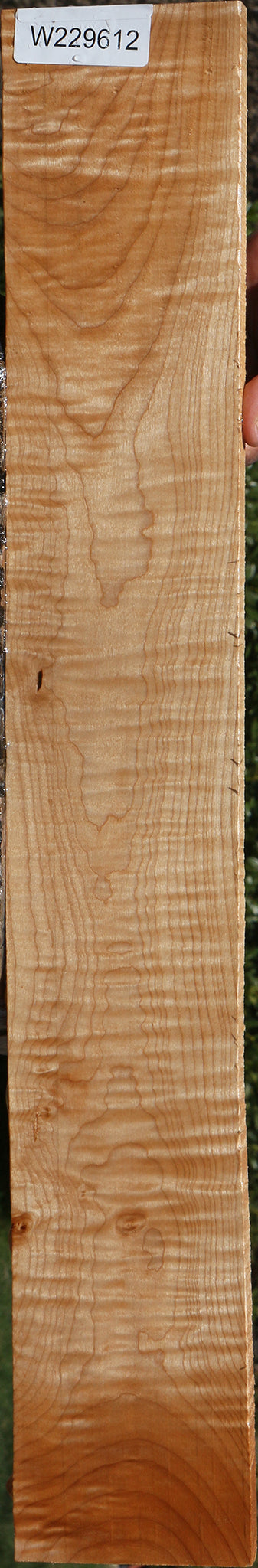 Quilted Maple Micro Lumber