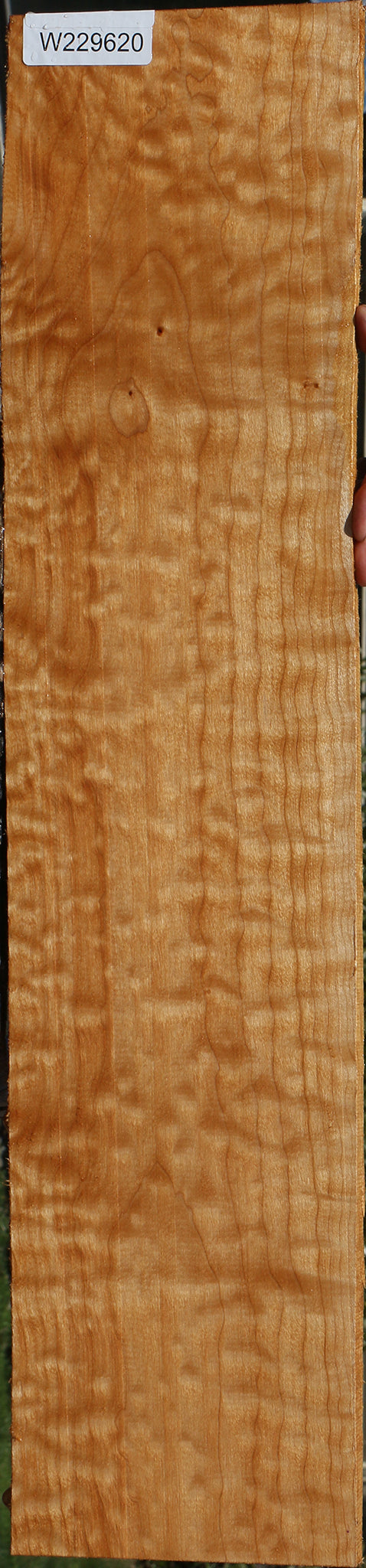 Extra Fancy Quilted Maple Lumber