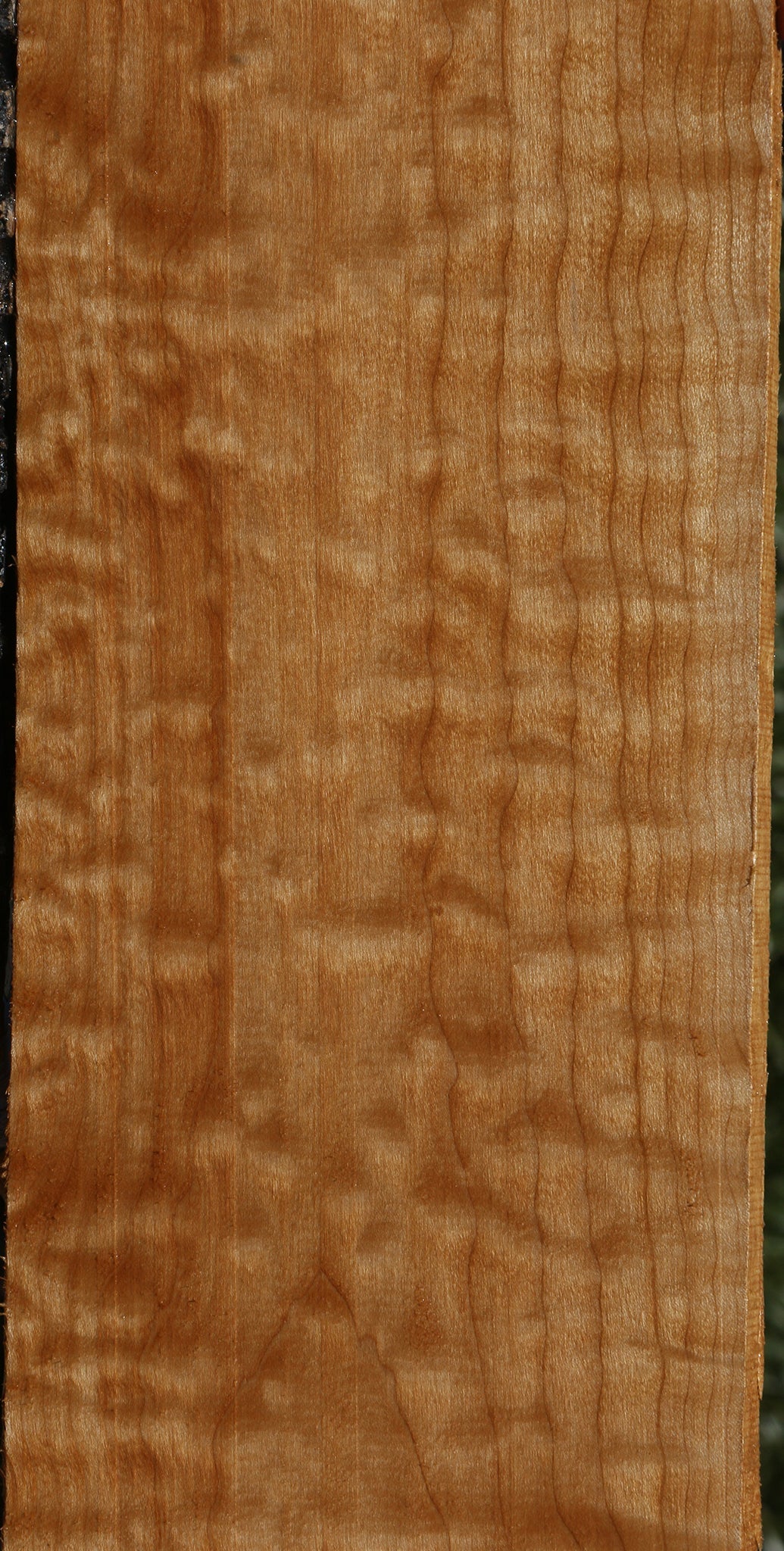 Extra Fancy Quilted Maple Lumber
