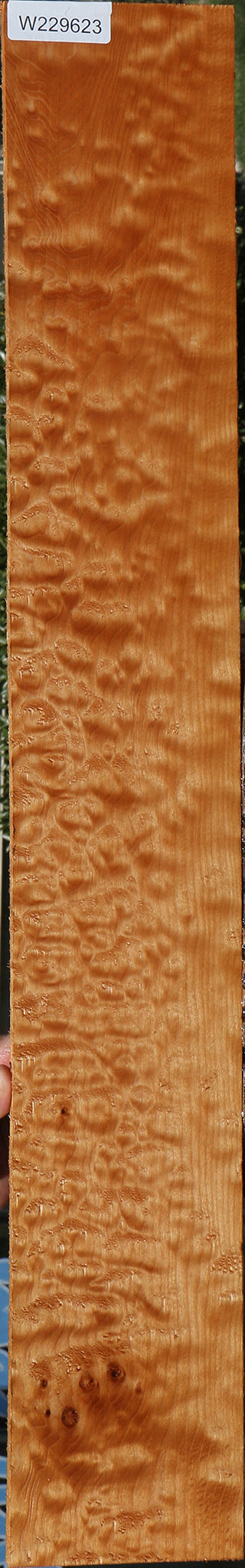Extra Fancy Quilted Maple Lumber