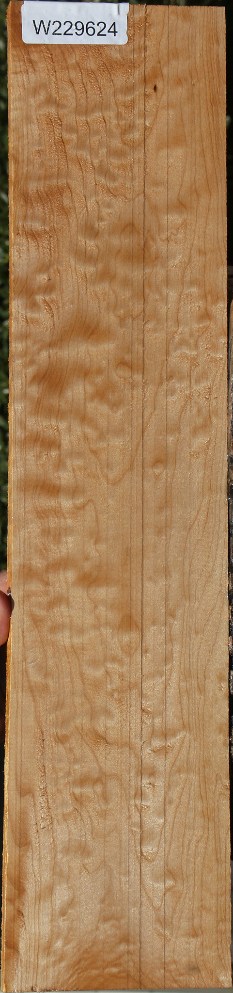 Quilted Maple Lumber