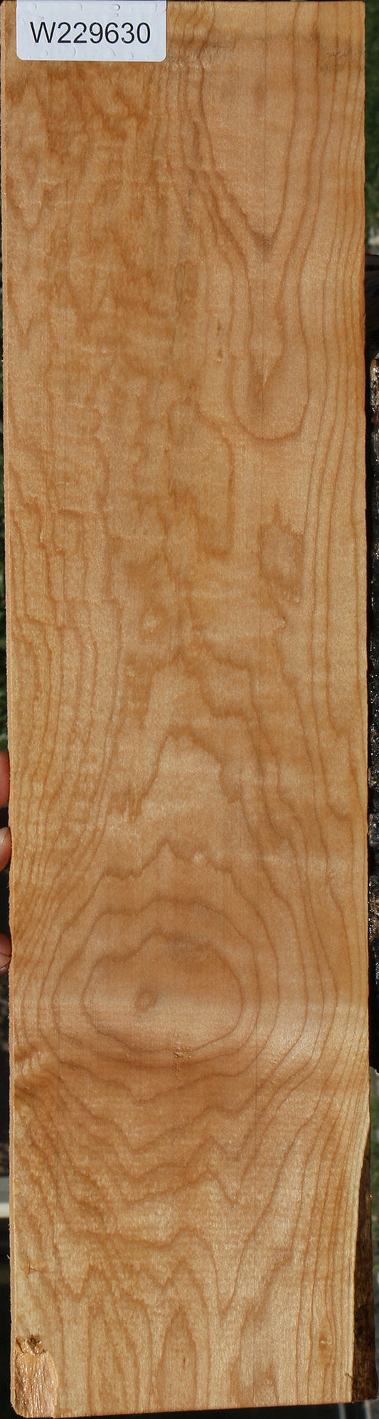 Quilted Maple Lumber