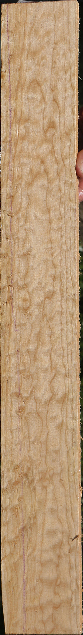 Quilted Maple Micro Lumber