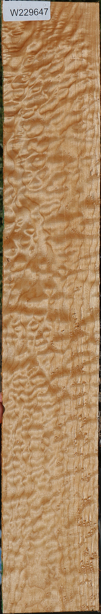 Quilted Maple Instrument Lumber