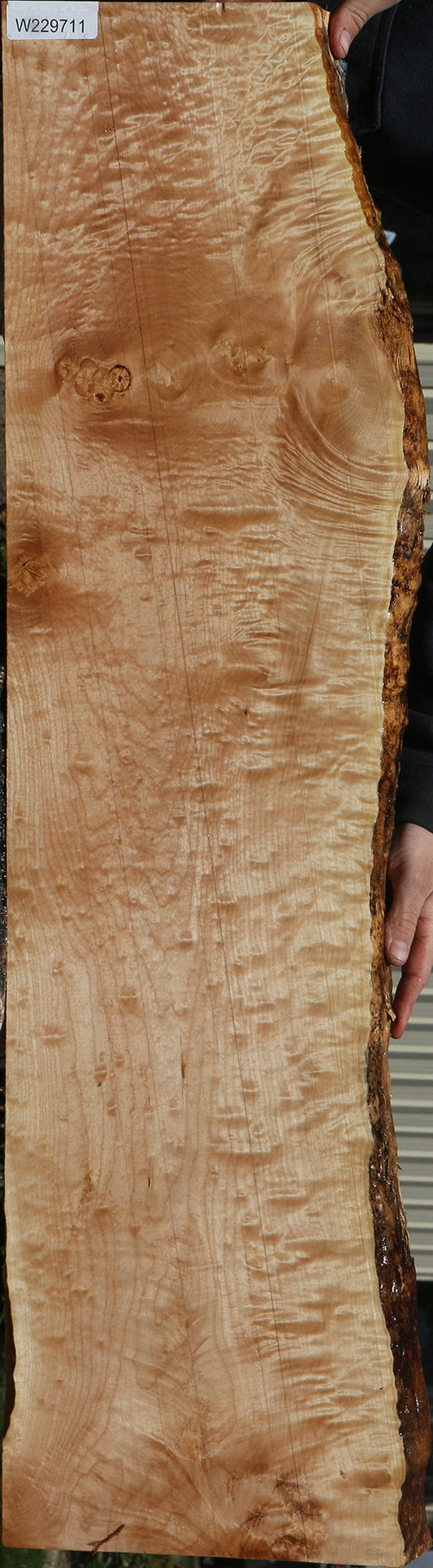 Quilted Maple Live Edge Lumber