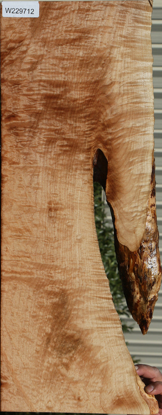 Quilted Maple Live Edge Lumber