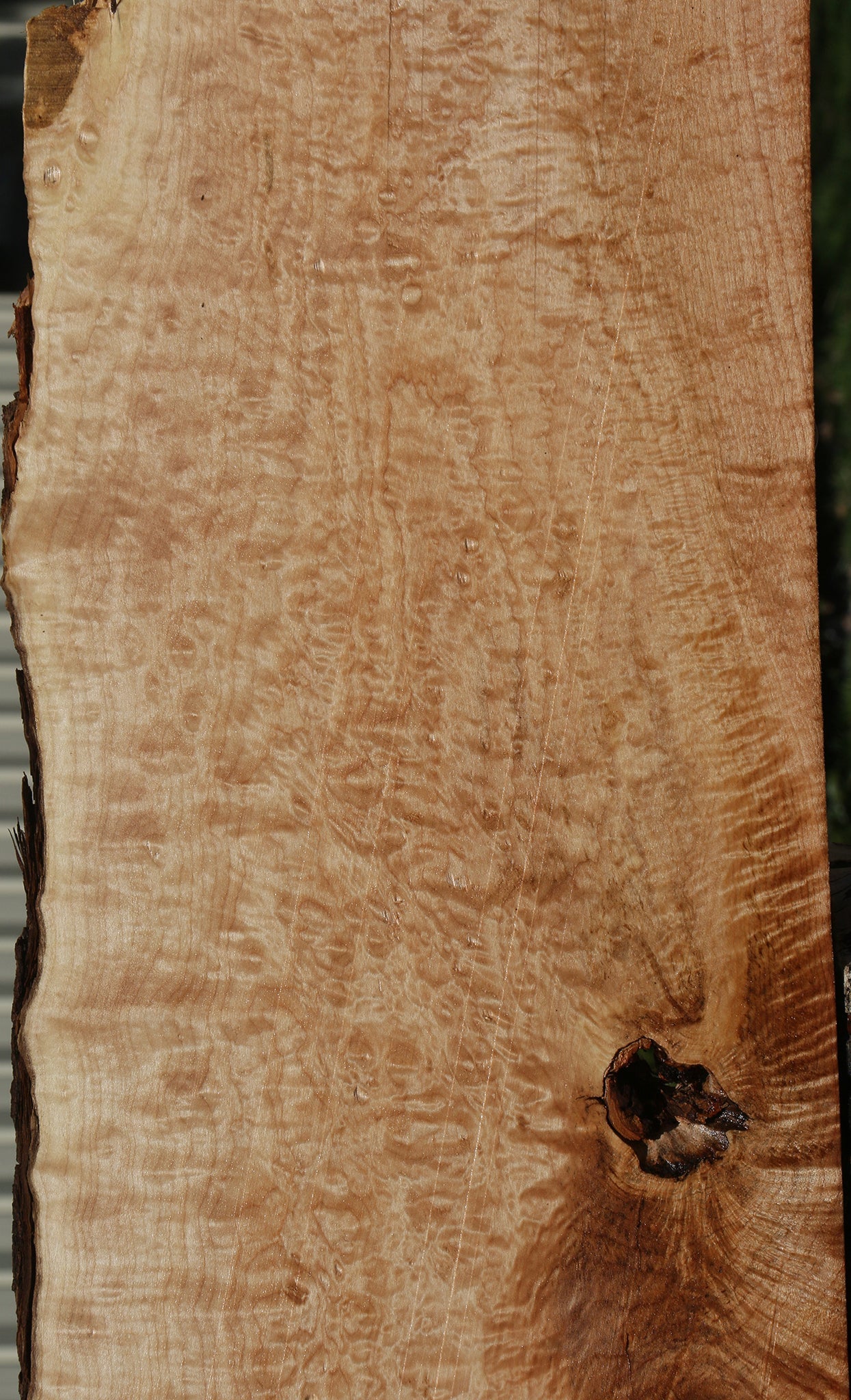 Quilted Maple Live Edge Lumber