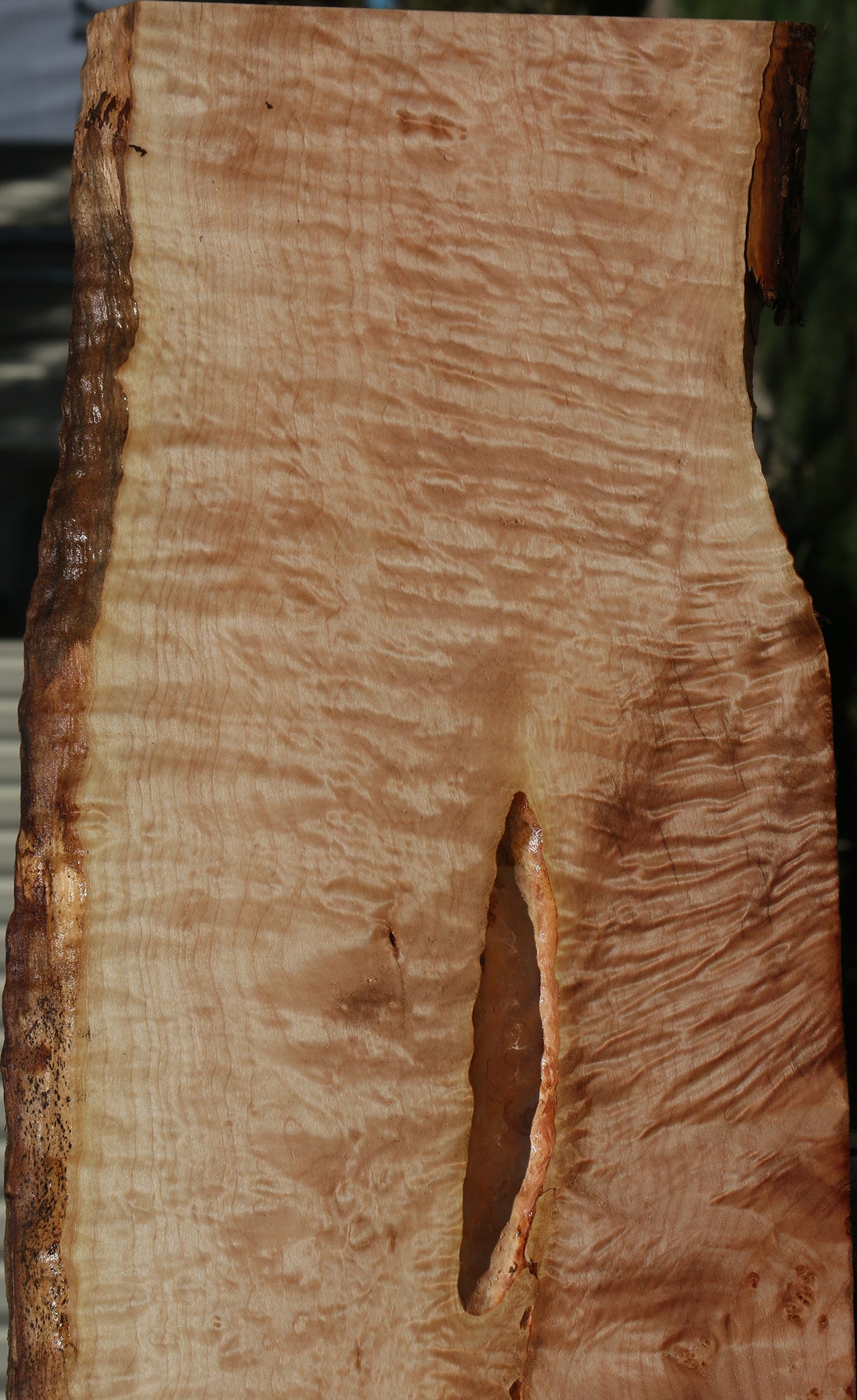 Quilted Maple Live Edge Lumber
