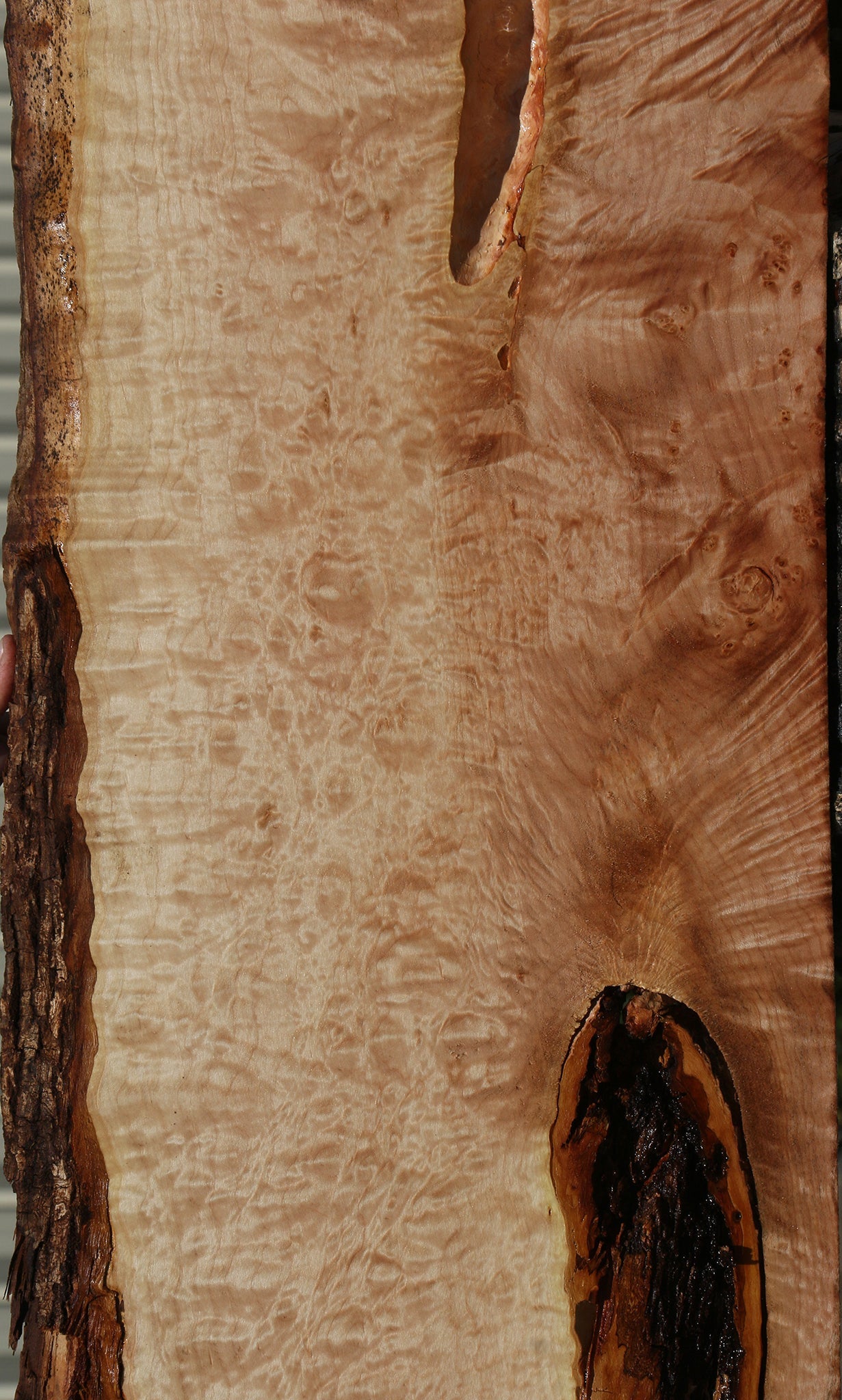 Quilted Maple Live Edge Lumber