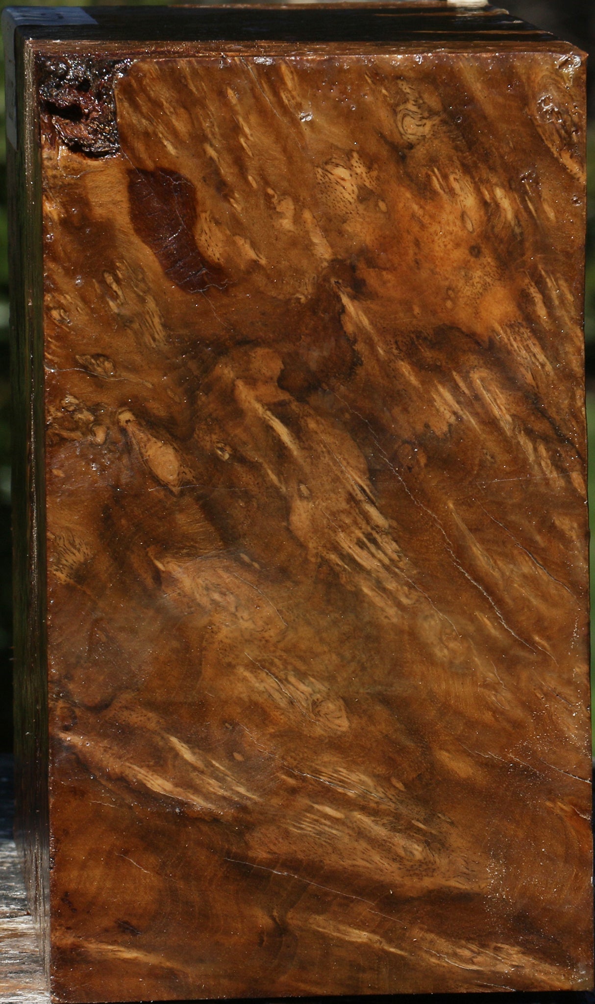 Rustic Almond Burl Bowl Blank