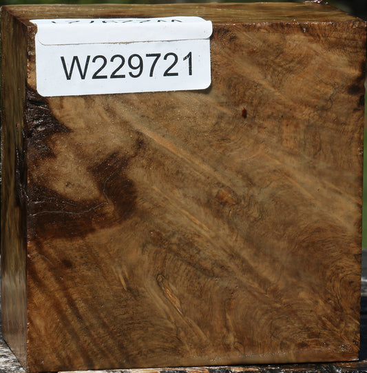 Almond Burl Bowl Blank