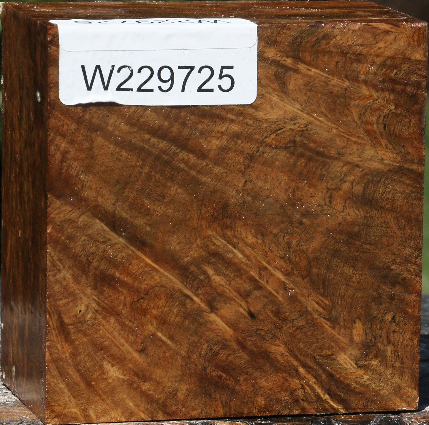 Almond Burl Bowl Blank