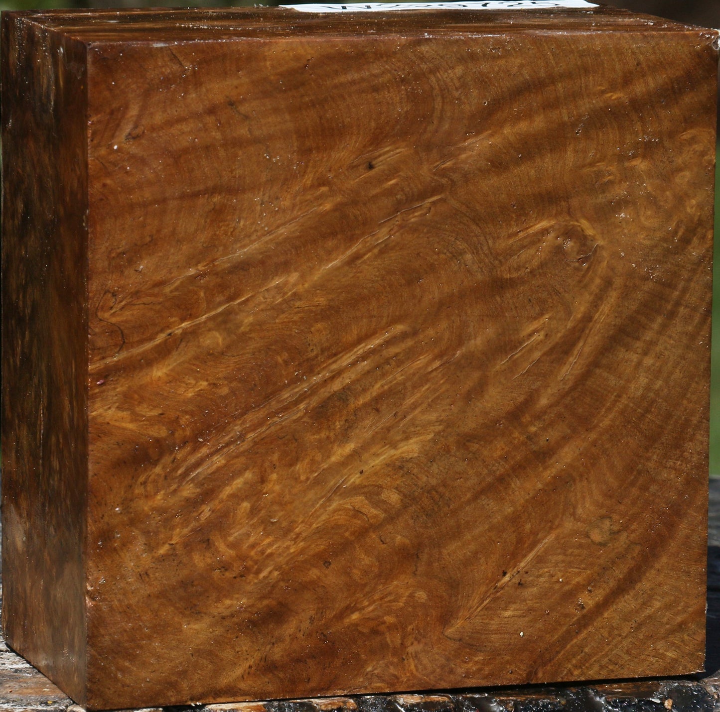 Almond Burl Bowl Blank