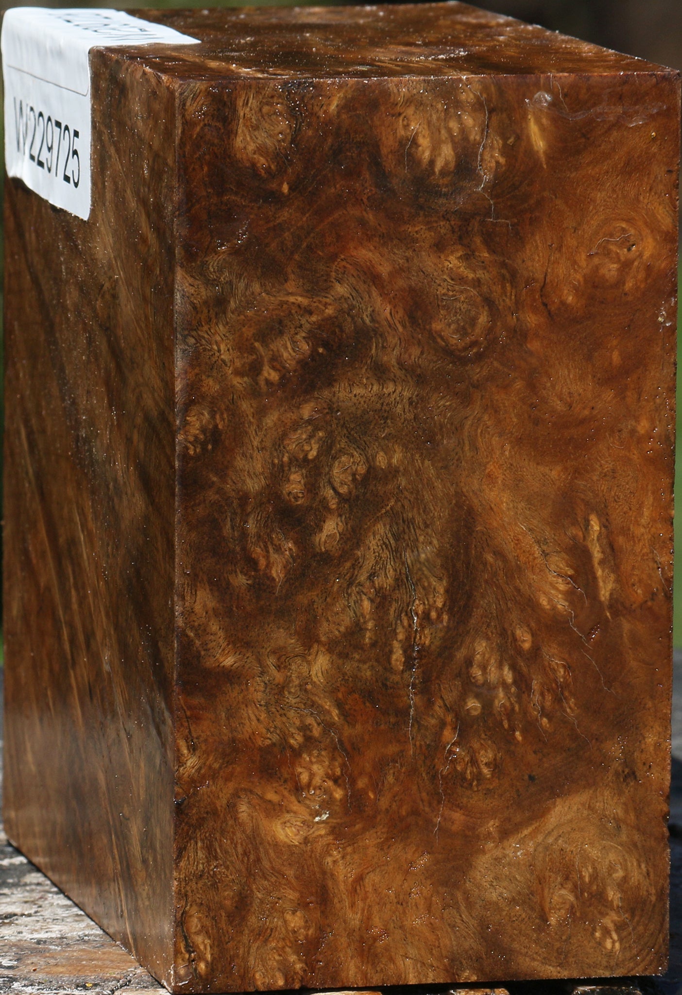 Almond Burl Bowl Blank