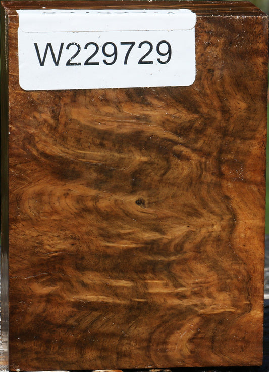 Almond Burl Turning Blank