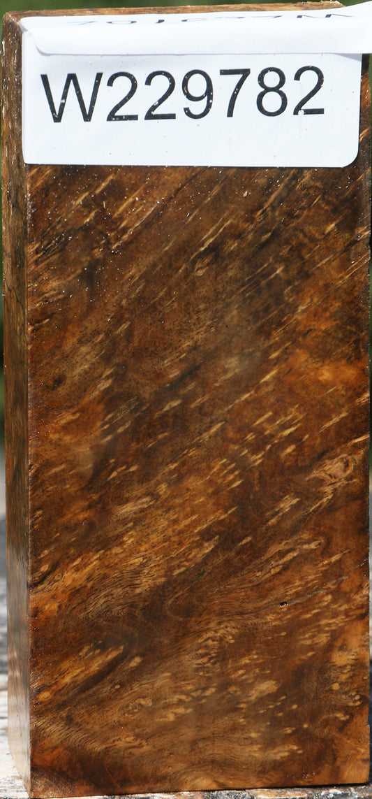 Almond Burl Turning Blank