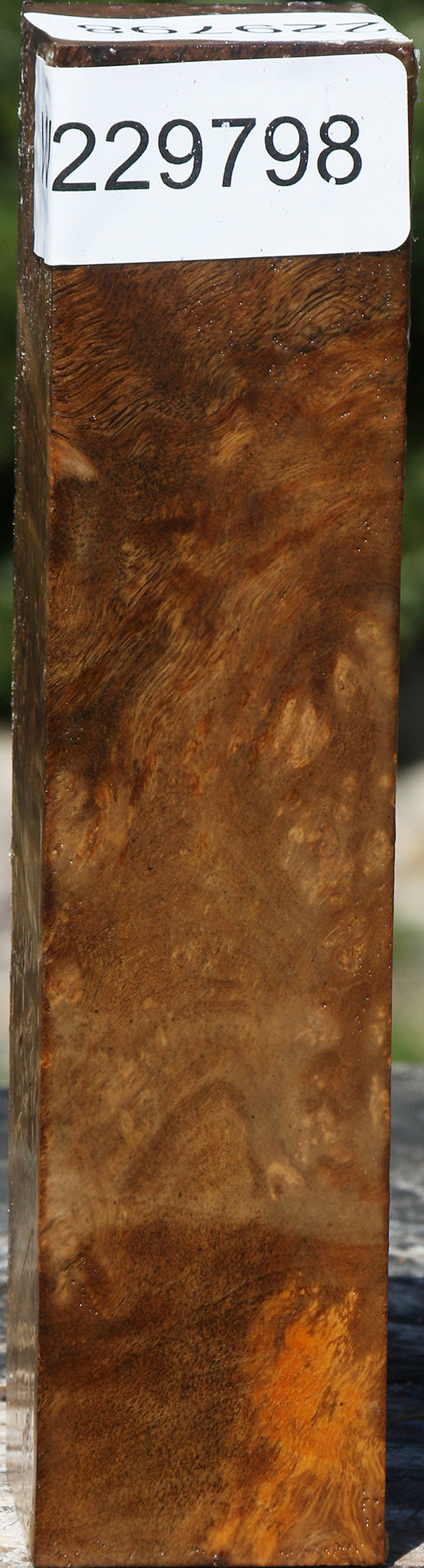 Almond Burl Turning Square
