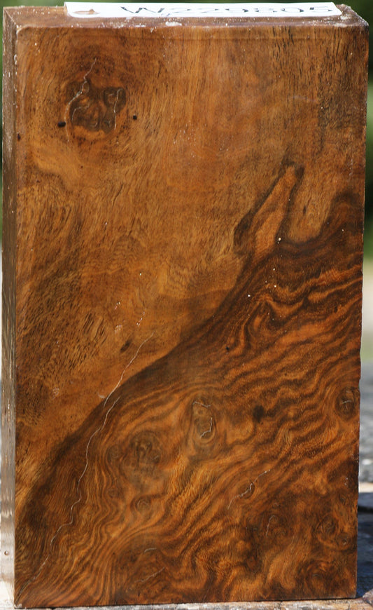 Almond Burl Lumber