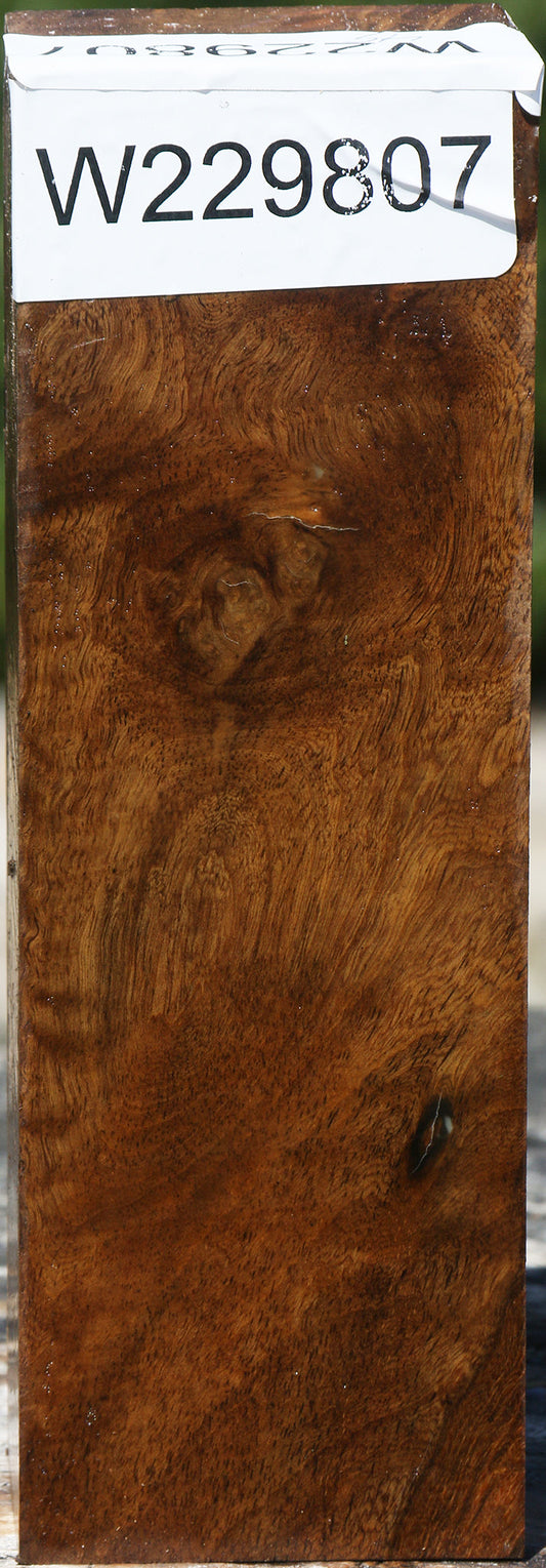 Almond Burl Lumber