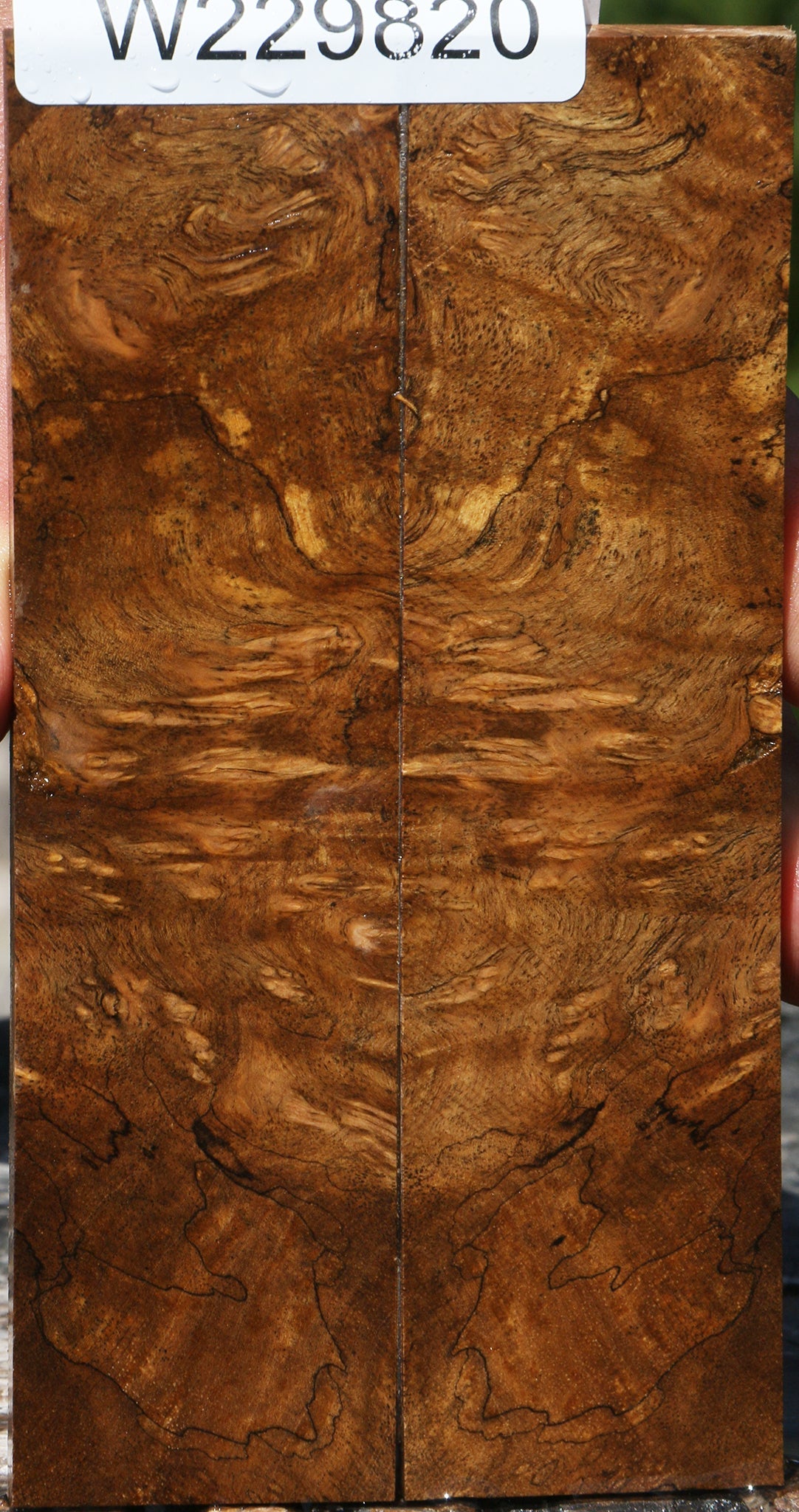 Rustic Almond Burl Knife Scales