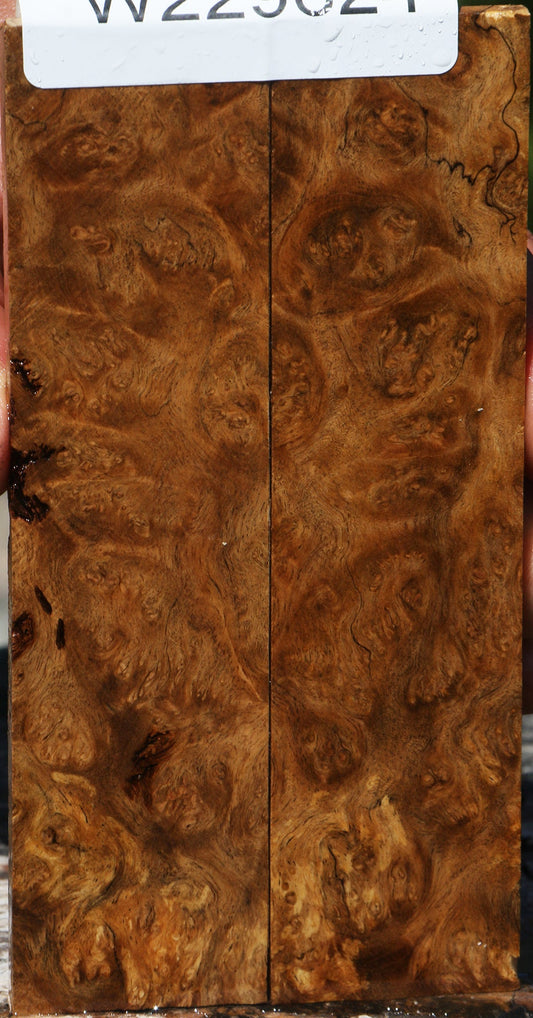 Almond Burl Knife Scales