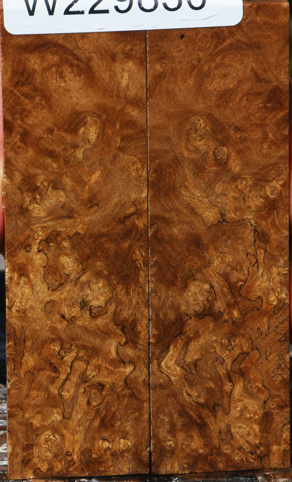 Almond Burl Knife Scales