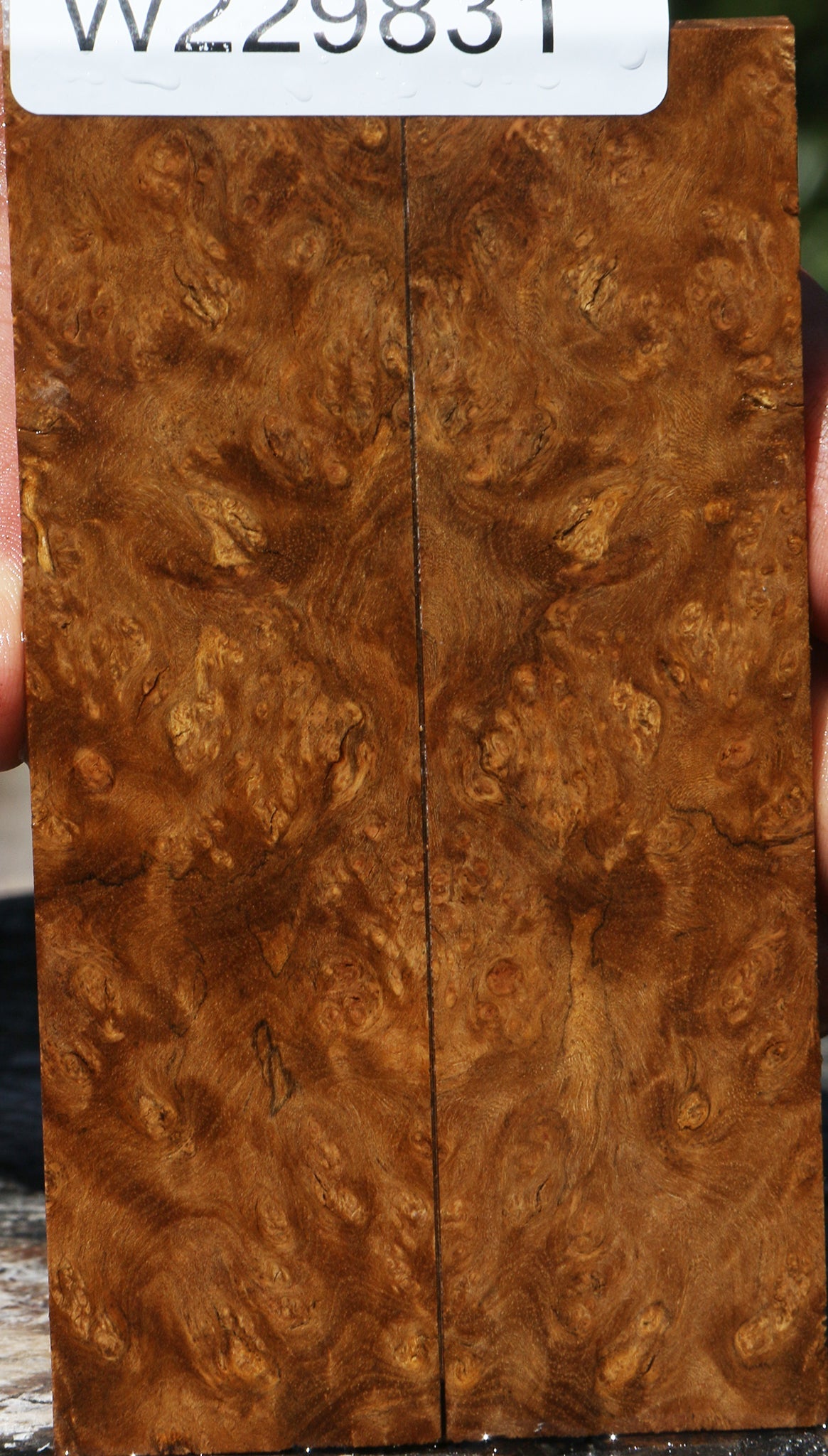 Almond Burl Knife Scales