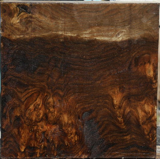 Claro Walnut Burl Bowl Blank