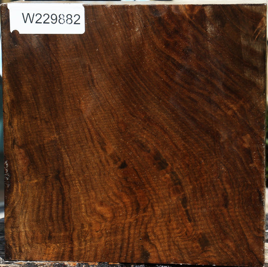 Figured Claro Walnut Bowl Blank