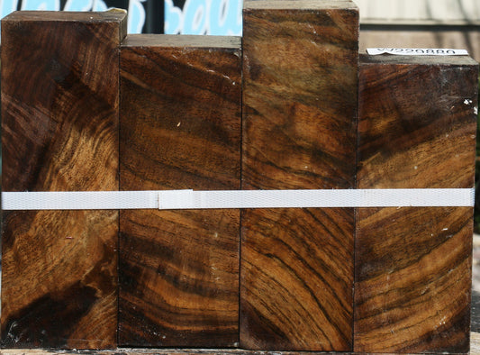 Claro Walnut Burl Turning Square 4-pack