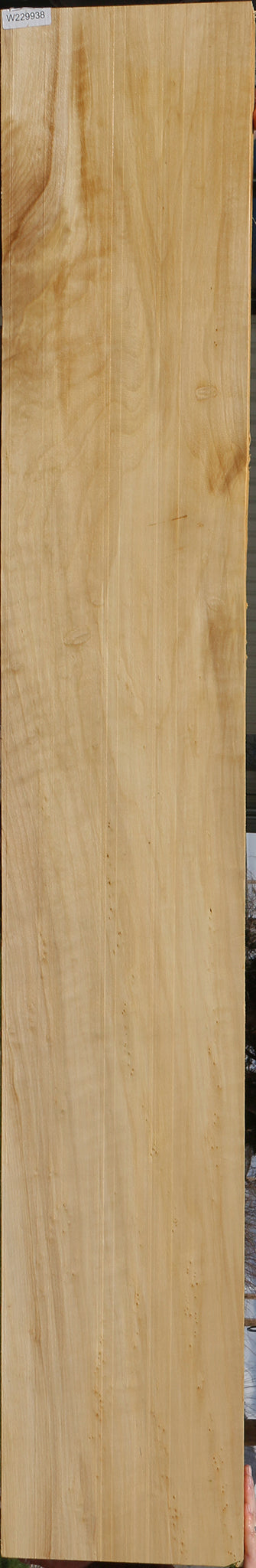 Extra Fancy Black Cottonwood Mantel (Free Shipping Excluded)