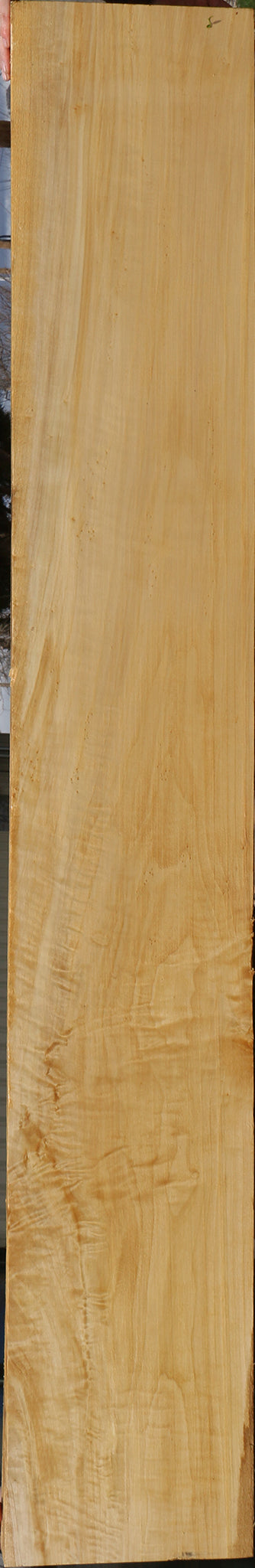 Extra Fancy Black Cottonwood Mantel (Free Shipping Excluded)